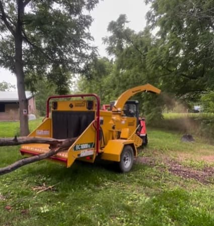 Vermeer BC1000XL wood chipper feeding a felled log on a customer's lawn