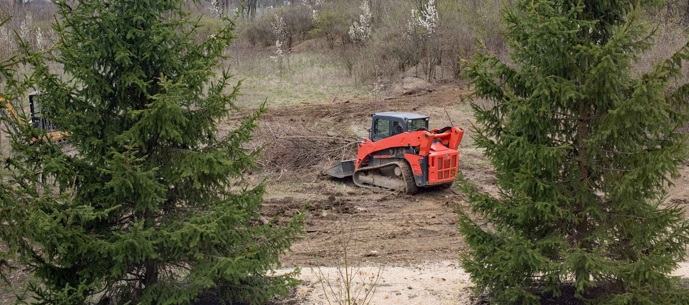 Compact track loader clearing brush between evergreen trees